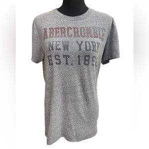 Abercrombie & Fitch Gray and Red Distressed Logo Muscle Tee Fitted T-Shirt Sz M